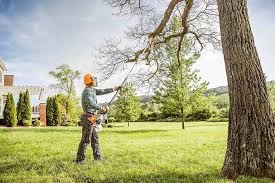 Best Storm Damage Tree Cleanup  in Beardstown, IL